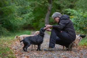 Claire Whiteway-Wilkinson crouched down holding the chin of a dog in front of her